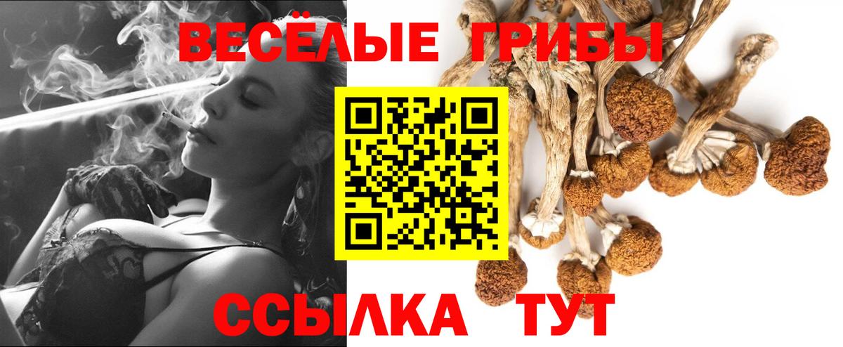 Псилоцибиновые грибы Psilocybe Ростов Великий