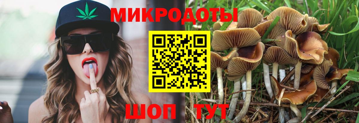 Ростов Великий  где можно купить наркотик  Вход с VPN  Галлюциногенные грибы Psilocybe 